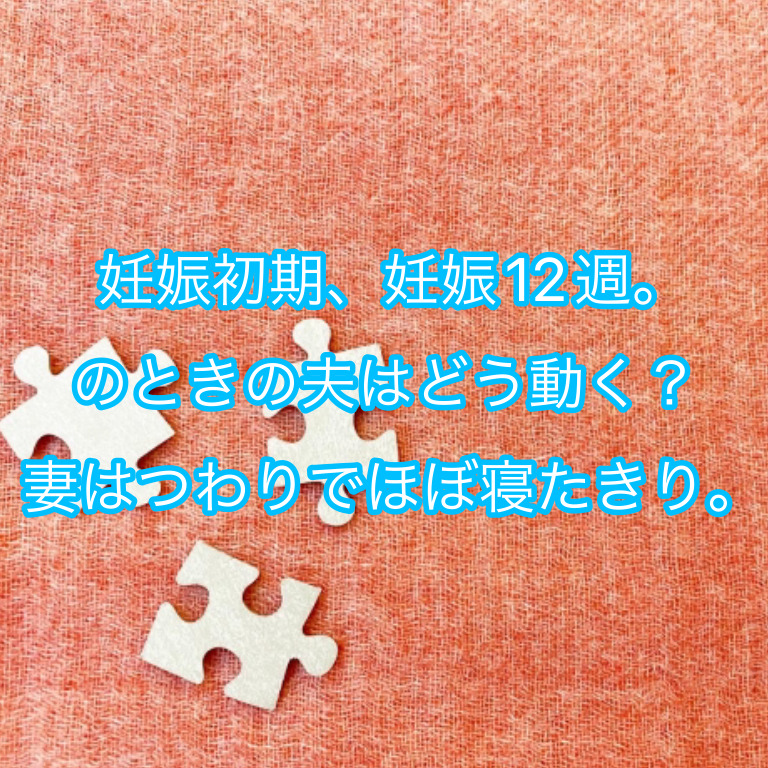 妊娠初期、妊娠12週。のときの夫はどう動く？妻はつわりでほぼ寝たきり。 ものとりー